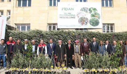 Şırnak’ta 25 bin 200 fidan toprakla buluştu: 810 dekar meyve bahçesi oluyor