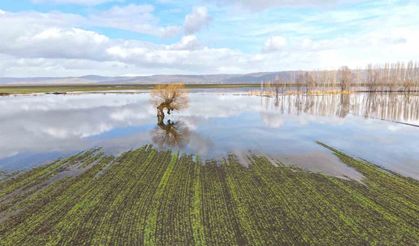 Muş’ta eriyen kar ve sağanak ovayı sular altında bıraktı