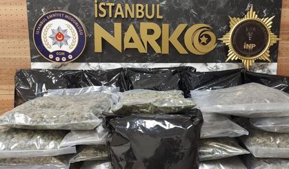 İstanbul’da uyuşturucu operasyonu: 22 kilo 450 gram skunk ele geçirildi