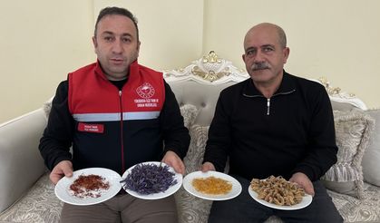 Yüksekova Ovasında Ezber Bozan Üretim: Safran ve Salep Toprakla Buluştu