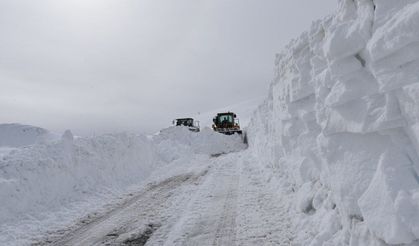 Hakkari’de 210 yerleşim yerinin yolu kapandı