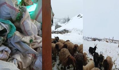 Hakkari’de 1,5 metrelik kar: Çiftçiler çaresiz