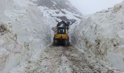 Hakkari’de 56 Yerleşim Yerinin Yolu Ulaşıma Kapandı