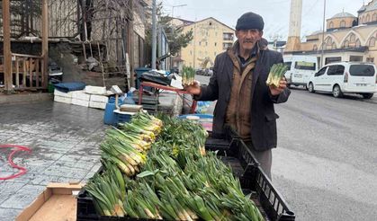 Hakkari’de yılın ilk pancarları tezgâhlarda yerini aldı