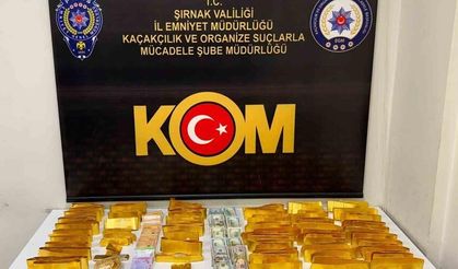 Şırnak’ta dev operasyon: 610 milyon liralık kaçakçılık darbesi