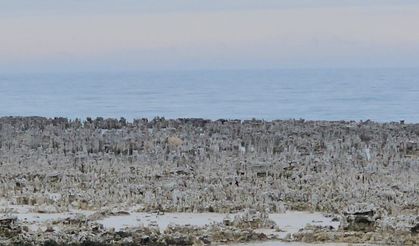 Van Gölü’nde kuraklık alarmı: Adilcevaz sahilinde mikrobiyalitler gün yüzüne çıktı