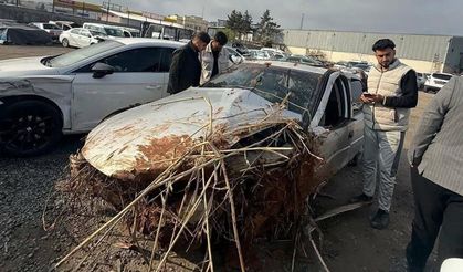 Kontrolden çıkarak devrilen otomobilin sürücüsü öldü