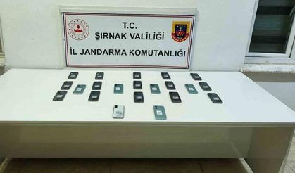 Şırnak’ta jandarma ekiplerinden 20 milyonluk kaçakçılık operasyonu
