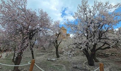 Akdamar Adası’nda renk cümbüşü