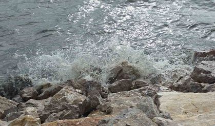Van Gölü’nde şiddetli rüzgar dalgaları coşturdu