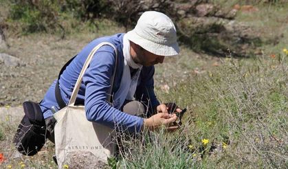 Darende’de flora projesi için ilk saha çalışması tamamlandı
