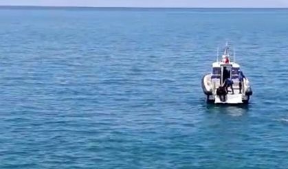 Otomobil Van Gölü’ne uçtu: Sürücü yaralı kurtarıldı