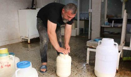 Diyarbakır’da kışlık peynir mesaisi başladı