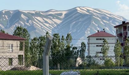 Yüksekova’da Yazla Birlikte Dağlar “Zebra Deseni”ne Büründü