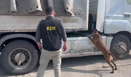 Şırnak’ta zehir tacirlerine ağır darbe: 90 kilo uyuşturucu ele geçirildi