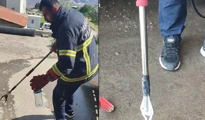 Hakkari’de aracın motor bölmesine giren yılan çıkarıldı