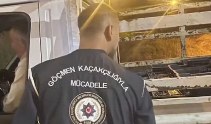 İçişleri Bakanlığı: 25 organizatör ve 355 düzensiz göçmen yakalandı