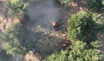 Diyarbakır’da 5,7 ton toz esrar elde edilebilecek kök kenevir ve skunk imha edildi