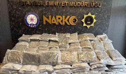 Silivri’de tır’da 376 kilo uyuşturucu ele geçirildi