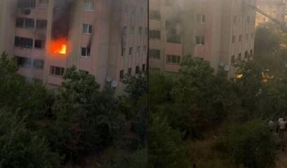 Bingöl’de 16 dairelik bina alevlere teslim oldu