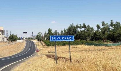 Diyarbakır Valiliğinden kuduz açıklaması
