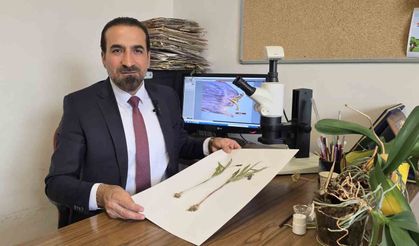 Muş’ta yetişen yeni bitki türü keşfedildi