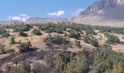 Beytüşşebap’ta orman yangını: Ekipler alevlerle mücadele ediyor