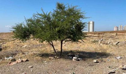 Adana’da genç şahıs boş arazide ölü bulundu
