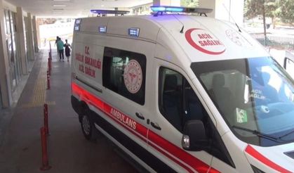 Şanlıurfa’da yaprak sarması 12 öğrenciyi hastanelik etti