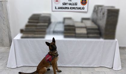 Siirt’te 10 bin 250 paket kaçak sigara ele geçirildi