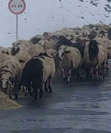 Van’da besicilerin zorlu kış mesaisi başladı