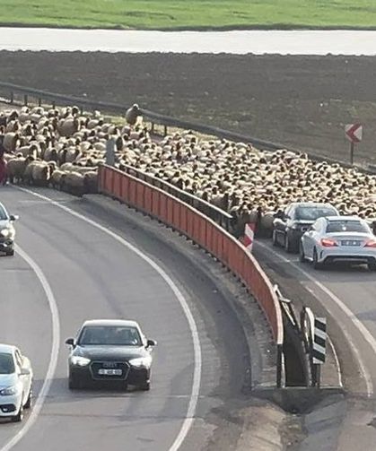 Göçerlerin Faraşin Yaylası yolculuğu başladı