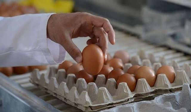 Market raflarında fiyatı 120 liraya kadar çıktı!