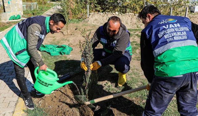 Van’daki 13 mezarlık alanına 3 bin 400 ağacın dikimine başlandı