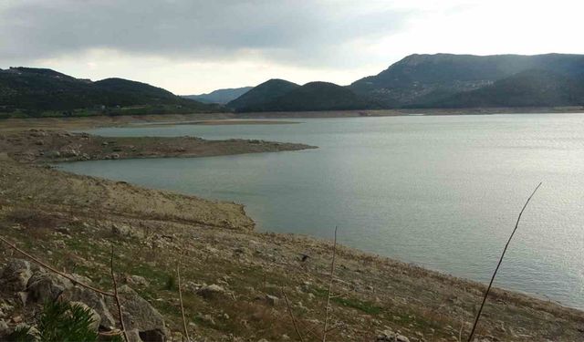 Kozan Barajı’nda su seviyesi yüzde 28’e düştü
