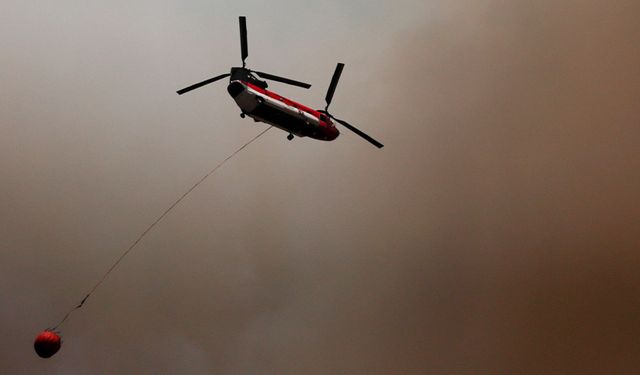 Şili’deki orman yangınlarında can kaybı 19’a yükseldi