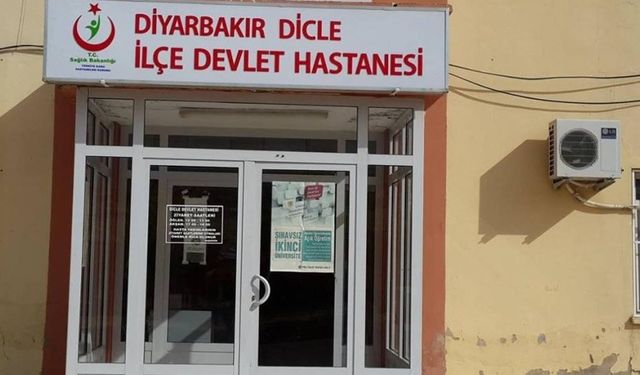 Diyarbakır’da başıboş köpek tarafından ısırılan kadın yaralandı