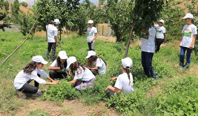 Bitlis’te ‘Okuldaki çiftlik’ projesi