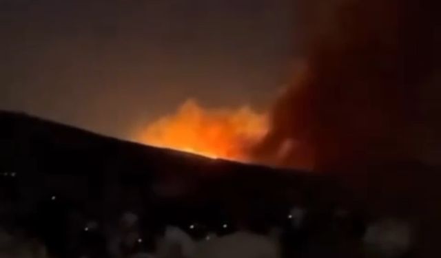 Mardin’de çıkan anız yangını söndürüldü