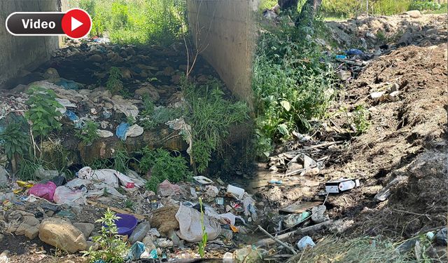İnsan sağlığını hiçe sayıyorlar: Yüksekova Dilimli Barajı’na akan dereye köylüler bu sene de  çöplerini bıraktı