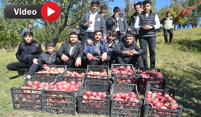 Tarım sınıfı öğrencileri elma hasadı yaptı