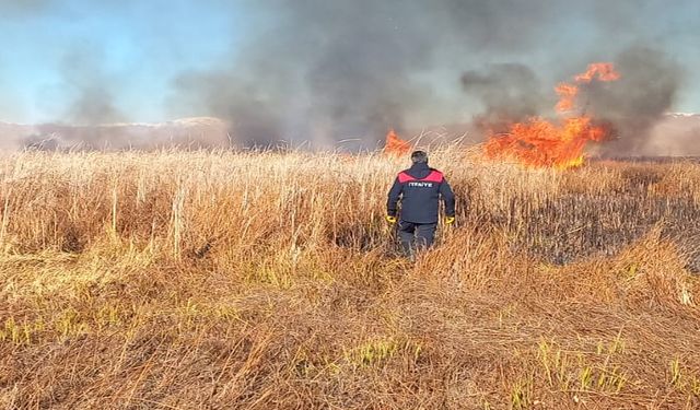 Yüksekova Nehil Sazlığı'nda çıkan yangın söndürüldü