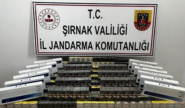 Şırnak’ta jandarma ekiplerinden kaçakçılara operasyon: 17 kişiye işlem yapıldı