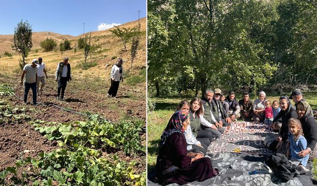 Tarım Müdürlüğü ekipleri Yüksekovalı çiftçileri tarlada bilgilendiriyor