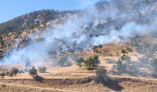 Doğa severler Şemdinli’de çıkan yangına müdahale etti