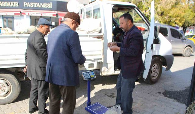 Muş merkezde yetiştirdiği kabakları Varto’da satıyor