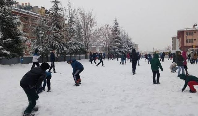 Hakkari ve ilçelerinde okullar tatil edildi!