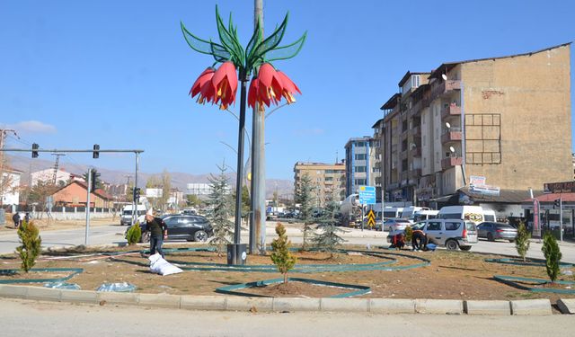 Yüksekova'da orta refüje 7 bin 500 fidan dikiliyor