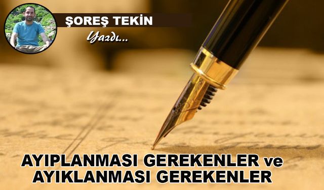 Ayıplanması gerekenler ve Ayıklanması gerekenler