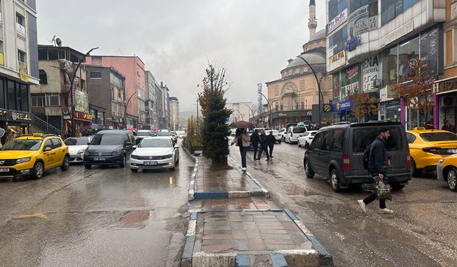 Yüksekova'da sağanak yağış etkili oldu